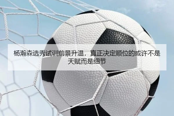 杨瀚森选秀试训前景升温，真正决定顺位的或许不是天赋而是细节